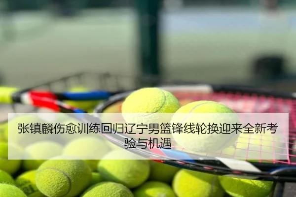 张镇麟伤愈训练回归辽宁男篮锋线轮换迎来全新考验与机遇
